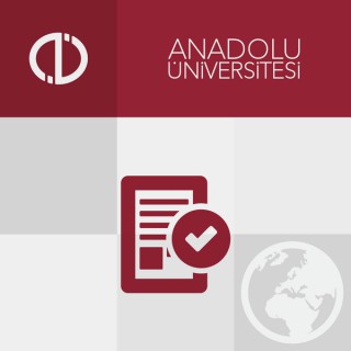 Muhasebede Bilgi Yönetimi (2013-2014)