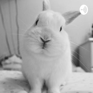 Podcast Nimy