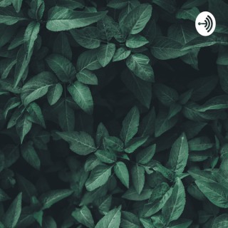 Podcast Nisu