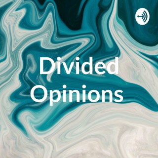 Divided Opinions