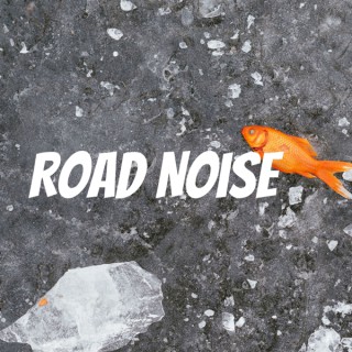 Road Noise