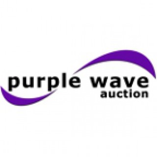 Purple Wave's Auction Podcast