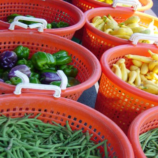 Fresh From the Farm - Podcasts