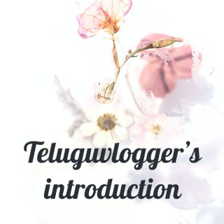 Teluguvlogger’s introduction