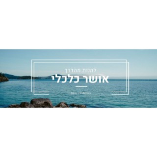 גיא מנדלסון אושר כלכלי