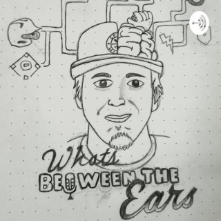 What's Between The Ears