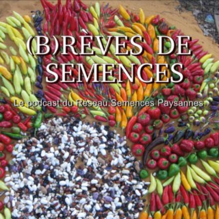 (B)rÃ¨ves de semences