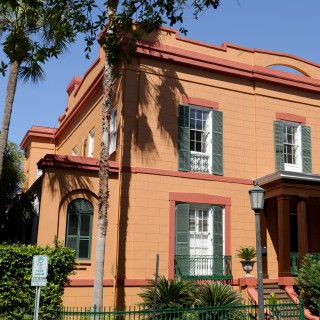 sorrel weed house