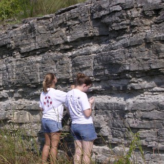 Limestone