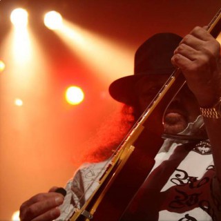 rossington collins band